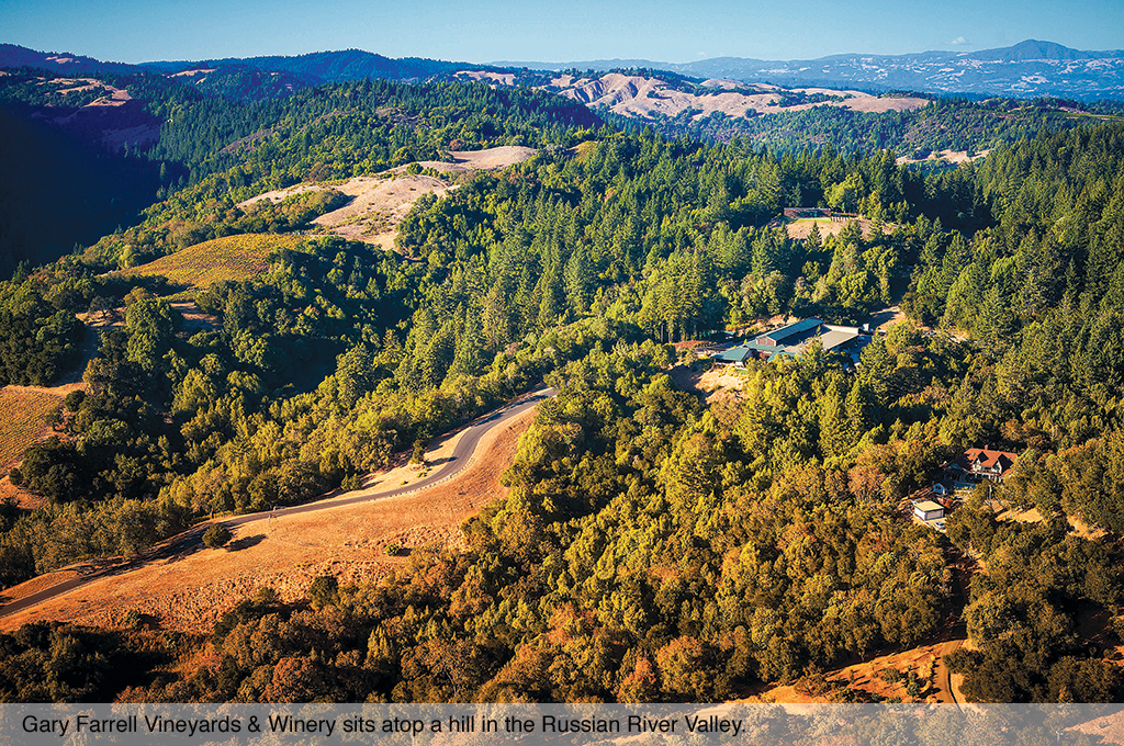 Gary Farrell Vineyards & Winery sits atop a hill in the Russian River Valley.