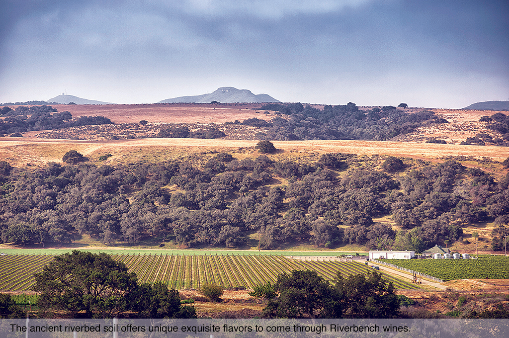 The ancient riverbed soil offers unique exquisite flavors to come through Riverbench wines.