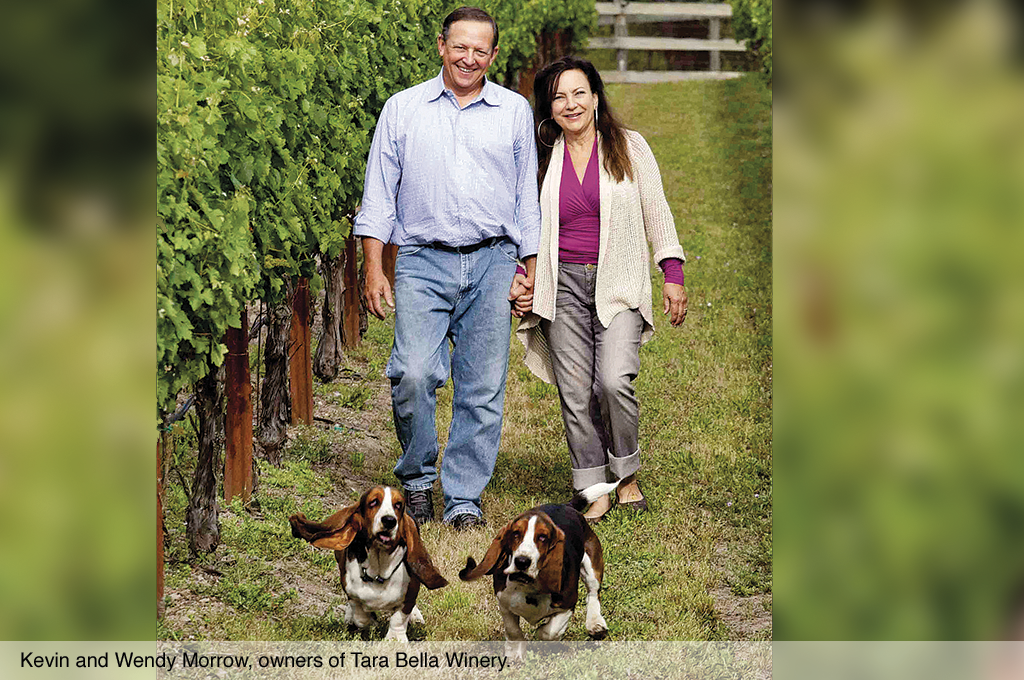 Kevin and Wendy Morrow, owners of Tara Bella Winery.