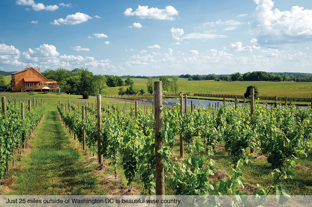 Just 25 miles outside of Washington DC is beautiful wine country.
