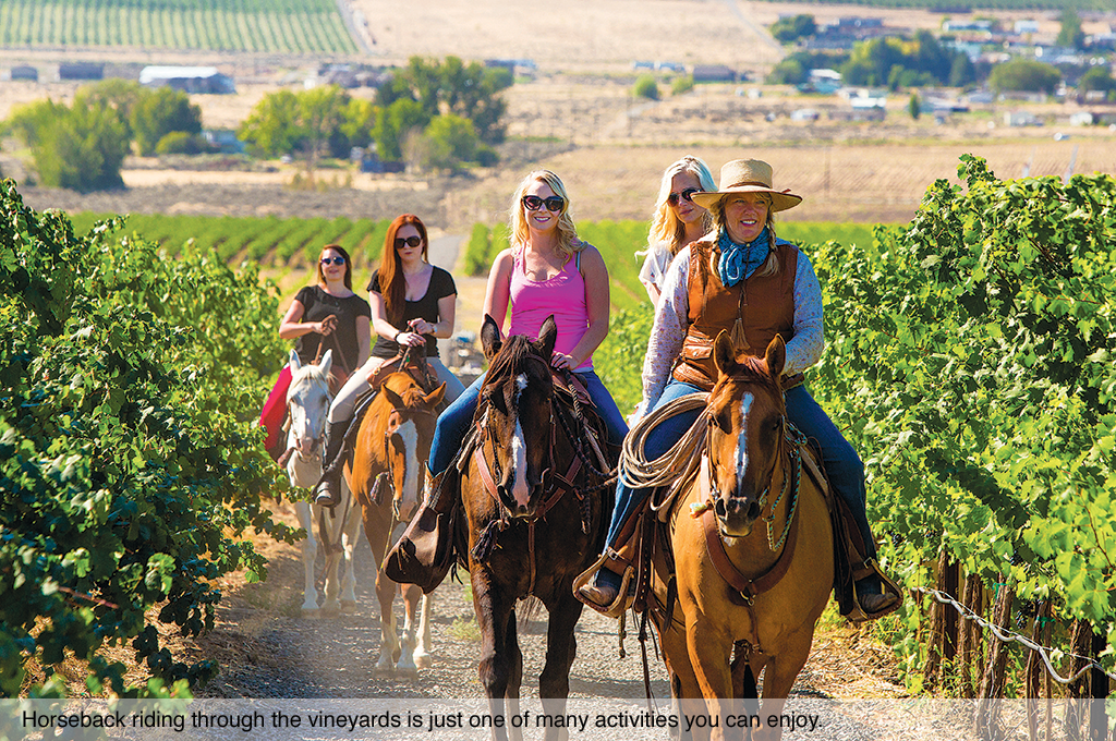 Horseback riding through the vineyards is just one of many activities you can enjoy.