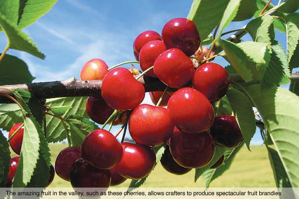 The amazing fruit in the valley, such as these cherries, allows crafters to produce spectacular fruit brandies.
